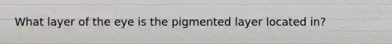 What layer of the eye is the pigmented layer located in?