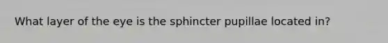 What layer of the eye is the sphincter pupillae located in?