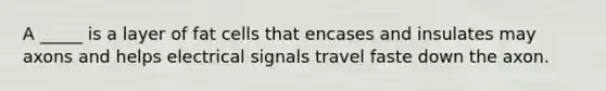 A _____ is a layer of fat cells that encases and insulates may axons and helps electrical signals travel faste down the axon.