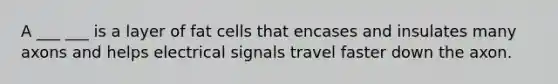 A ___ ___ is a layer of fat cells that encases and insulates many axons and helps electrical signals travel faster down the axon.