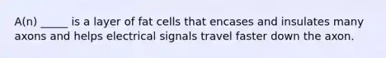 A(n) _____ is a layer of fat cells that encases and insulates many axons and helps electrical signals travel faster down the axon.