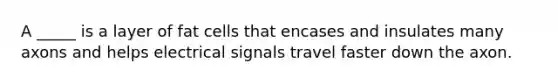 A _____ is a layer of fat cells that encases and insulates many axons and helps electrical signals travel faster down the axon.