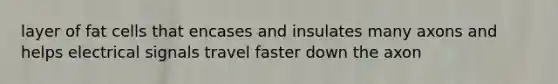 layer of fat cells that encases and insulates many axons and helps electrical signals travel faster down the axon