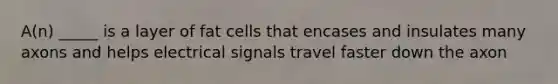 A(n) _____ is a layer of fat cells that encases and insulates many axons and helps electrical signals travel faster down the axon