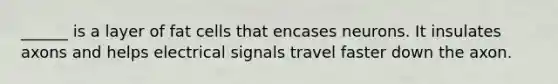 ______ is a layer of fat cells that encases neurons. It insulates axons and helps electrical signals travel faster down the axon.