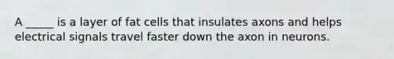 A _____ is a layer of fat cells that insulates axons and helps electrical signals travel faster down the axon in neurons.