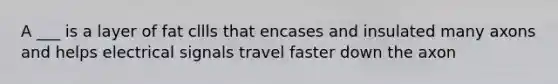 A ___ is a layer of fat cllls that encases and insulated many axons and helps electrical signals travel faster down the axon