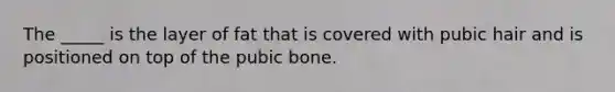 The _____ is the layer of fat that is covered with pubic hair and is positioned on top of the pubic bone.