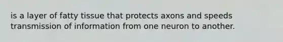is a layer of fatty tissue that protects axons and speeds transmission of information from one neuron to another.