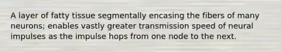 A layer of fatty tissue segmentally encasing the fibers of many neurons; enables vastly greater transmission speed of neural impulses as the impulse hops from one node to the next.