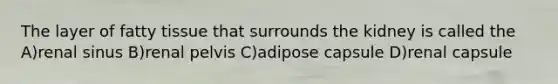The layer of fatty tissue that surrounds the kidney is called the A)renal sinus B)renal pelvis C)adipose capsule D)renal capsule