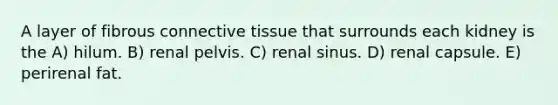 A layer of fibrous connective tissue that surrounds each kidney is the A) hilum. B) renal pelvis. C) renal sinus. D) renal capsule. E) perirenal fat.