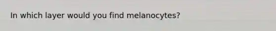 In which layer would you find melanocytes?