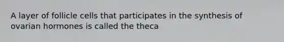 A layer of follicle cells that participates in the synthesis of ovarian hormones is called the theca