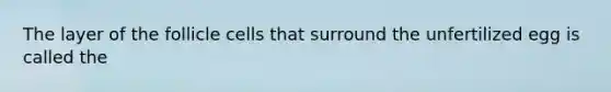 The layer of the follicle cells that surround the unfertilized egg is called the