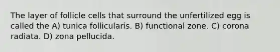 The layer of follicle cells that surround the unfertilized egg is called the A) tunica follicularis. B) functional zone. C) corona radiata. D) zona pellucida.