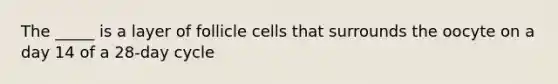 The _____ is a layer of follicle cells that surrounds the oocyte on a day 14 of a 28-day cycle