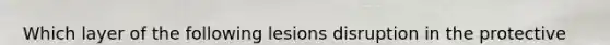 Which layer of the following lesions disruption in the protective barrier of the skin?