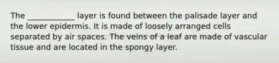 The ____________ layer is found between the palisade layer and the lower epidermis. It is made of loosely arranged cells separated by air spaces. The veins of a leaf are made of vascular tissue and are located in the spongy layer.