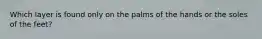 Which layer is found only on the palms of the hands or the soles of the feet?