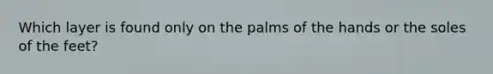 Which layer is found only on the palms of the hands or the soles of the feet?