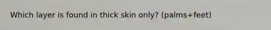 Which layer is found in thick skin only? (palms+feet)