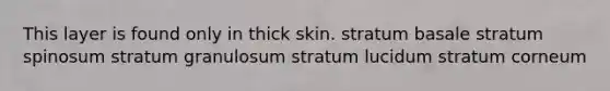 This layer is found only in thick skin. stratum basale stratum spinosum stratum granulosum stratum lucidum stratum corneum