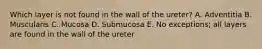 Which layer is not found in the wall of the ureter? A. Adventitia B. Muscularis C. Mucosa D. Submucosa E. No exceptions; all layers are found in the wall of the ureter