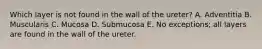 Which layer is not found in the wall of the ureter? A. Adventitia B. Muscularis C. Mucosa D. Submucosa E. No exceptions; all layers are found in the wall of the ureter.