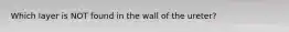 Which layer is NOT found in the wall of the ureter?