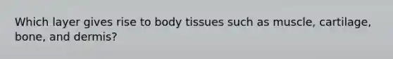 Which layer gives rise to body tissues such as muscle, cartilage, bone, and dermis?