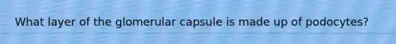 What layer of the glomerular capsule is made up of podocytes?