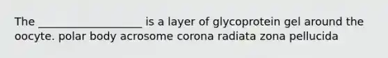 The ___________________ is a layer of glycoprotein gel around the oocyte. polar body acrosome corona radiata zona pellucida