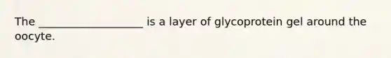 The ___________________ is a layer of glycoprotein gel around the oocyte.