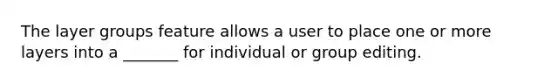 The layer groups feature allows a user to place one or more layers into a _______ for individual or group editing.