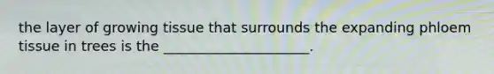 the layer of growing tissue that surrounds the expanding phloem tissue in trees is the _____________________.