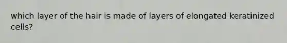 which layer of the hair is made of layers of elongated keratinized cells?