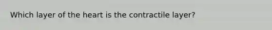 Which layer of the heart is the contractile layer?