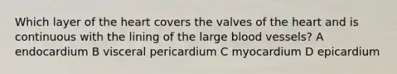 Which layer of the heart covers the valves of the heart and is continuous with the lining of the large blood vessels? A endocardium B visceral pericardium C myocardium D epicardium