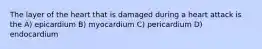 The layer of the heart that is damaged during a heart attack is the A) epicardium B) myocardium C) pericardium D) endocardium