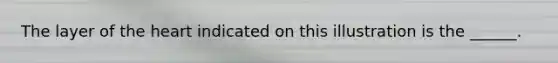 The layer of the heart indicated on this illustration is the ______.