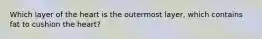 Which layer of the heart is the outermost layer, which contains fat to cushion the heart?