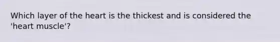 Which layer of the heart is the thickest and is considered the 'heart muscle'?