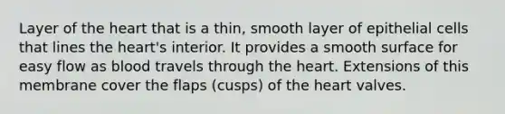 Layer of <a href='https://www.questionai.com/knowledge/kya8ocqc6o-the-heart' class='anchor-knowledge'>the heart</a> that is a thin, smooth layer of epithelial cells that lines the heart's interior. It provides a smooth surface for easy flow as blood travels through the heart. Extensions of this membrane cover the flaps (cusps) of the heart valves.