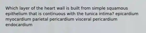 Which layer of the heart wall is built from simple squamous epithelium that is continuous with the tunica intima? epicardium myocardium parietal pericardium visceral pericardium endocardium