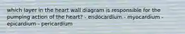 which layer in the heart wall diagram is responsible for the pumping action of the heart? - endocardium - myocardium - epicardium - pericardium