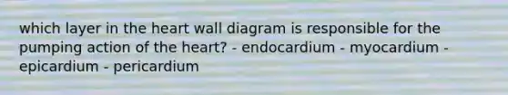 which layer in the heart wall diagram is responsible for the pumping action of the heart? - endocardium - myocardium - epicardium - pericardium