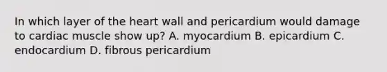 In which layer of the heart wall and pericardium would damage to cardiac muscle show up? A. myocardium B. epicardium C. endocardium D. fibrous pericardium