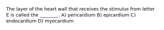 The layer of the heart wall that receives the stimulus from letter E is called the ________. A) pericardium B) epicardium C) endocardium D) myocardium