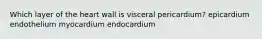 Which layer of the heart wall is visceral pericardium? epicardium endothelium myocardium endocardium